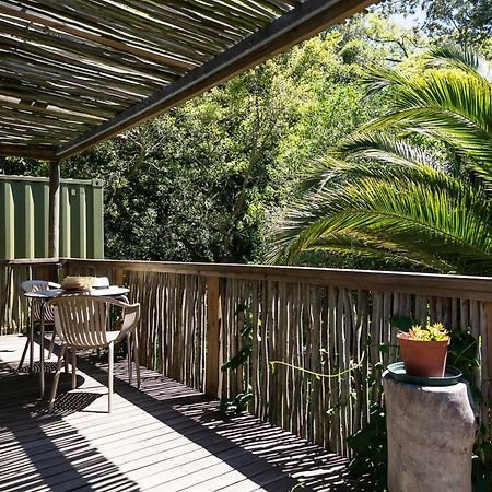 קייפטאון Camps Bay Forest Pods מראה חיצוני תמונה