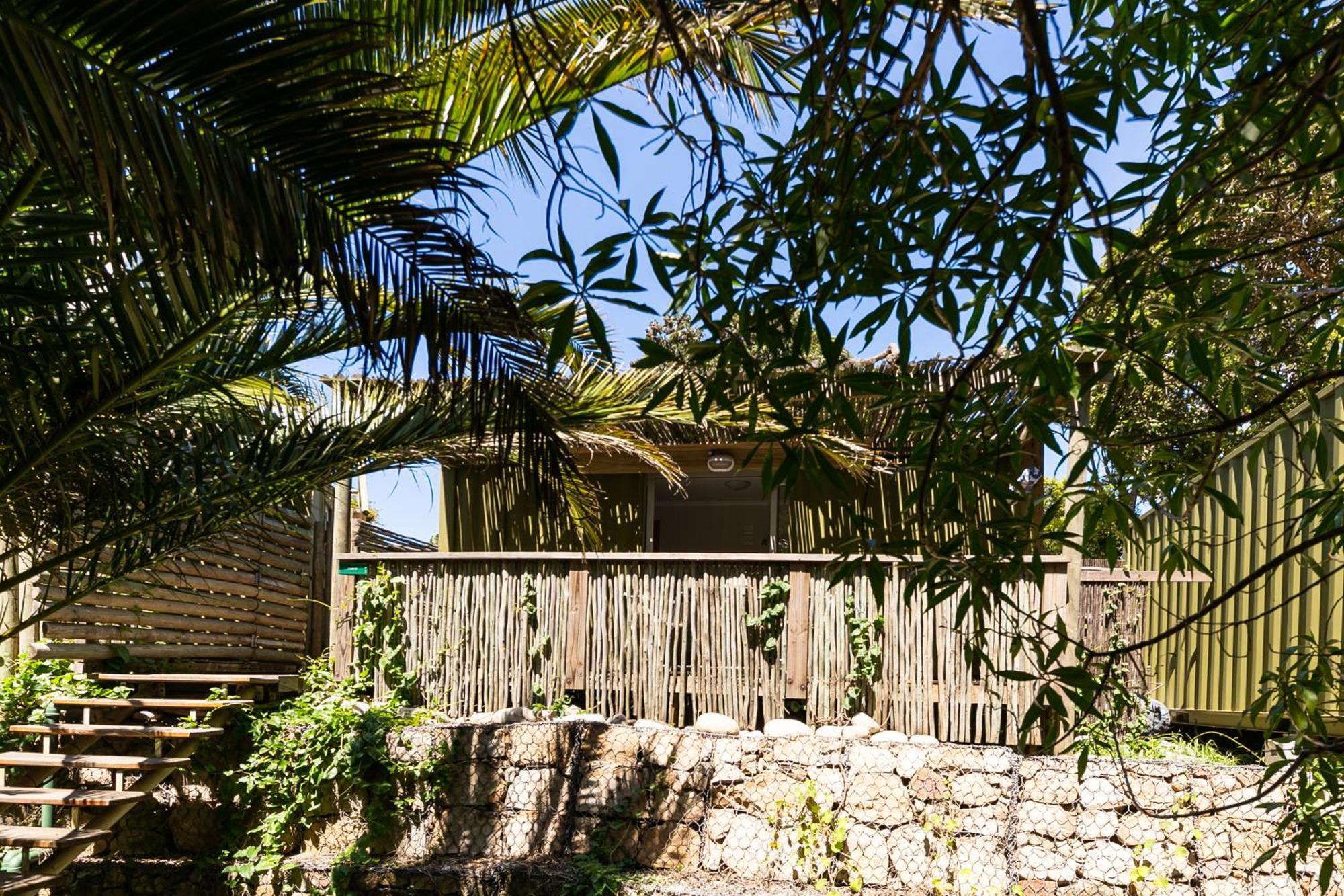קייפטאון Camps Bay Forest Pods מראה חיצוני תמונה