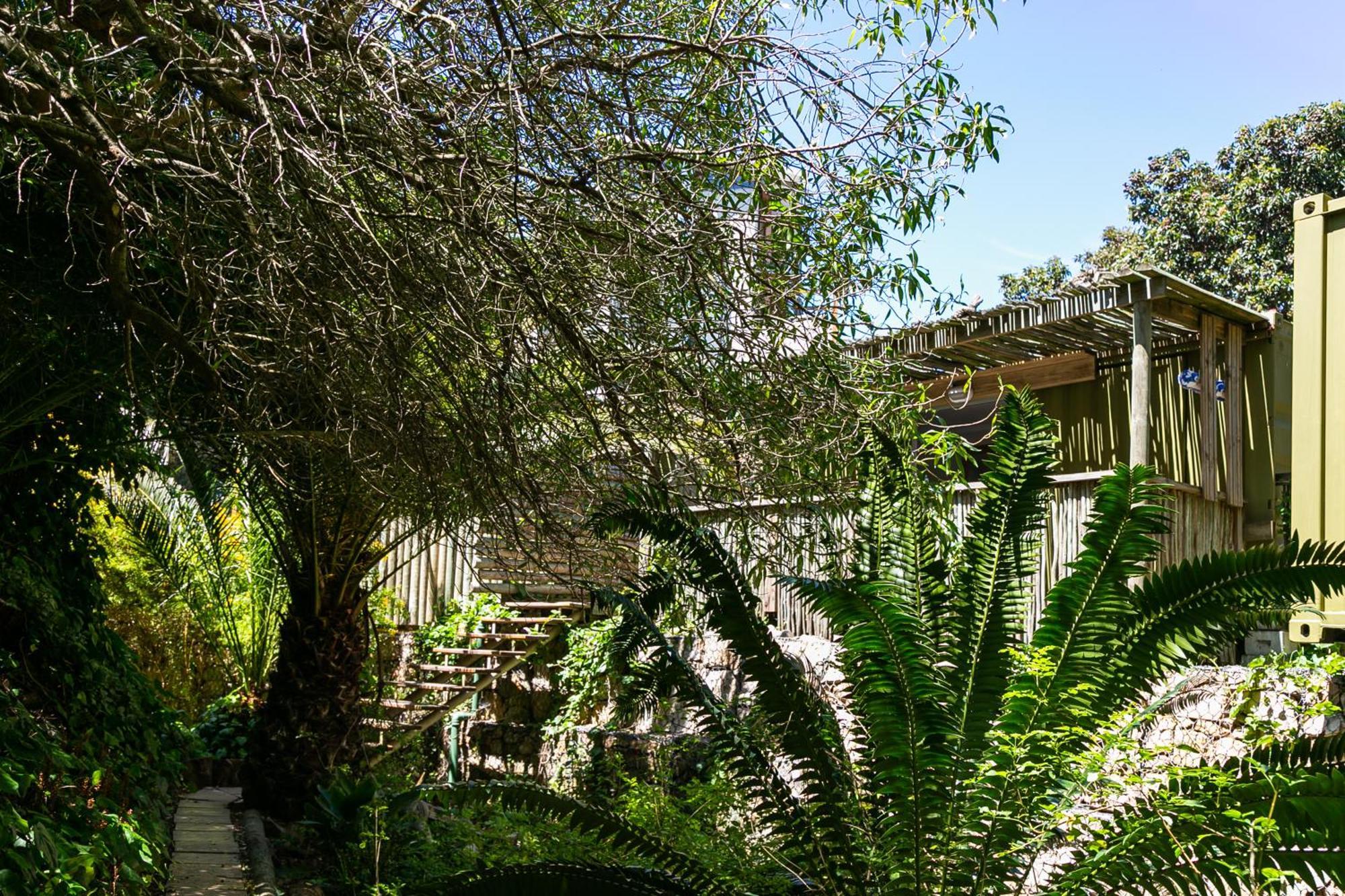 קייפטאון Camps Bay Forest Pods מראה חיצוני תמונה