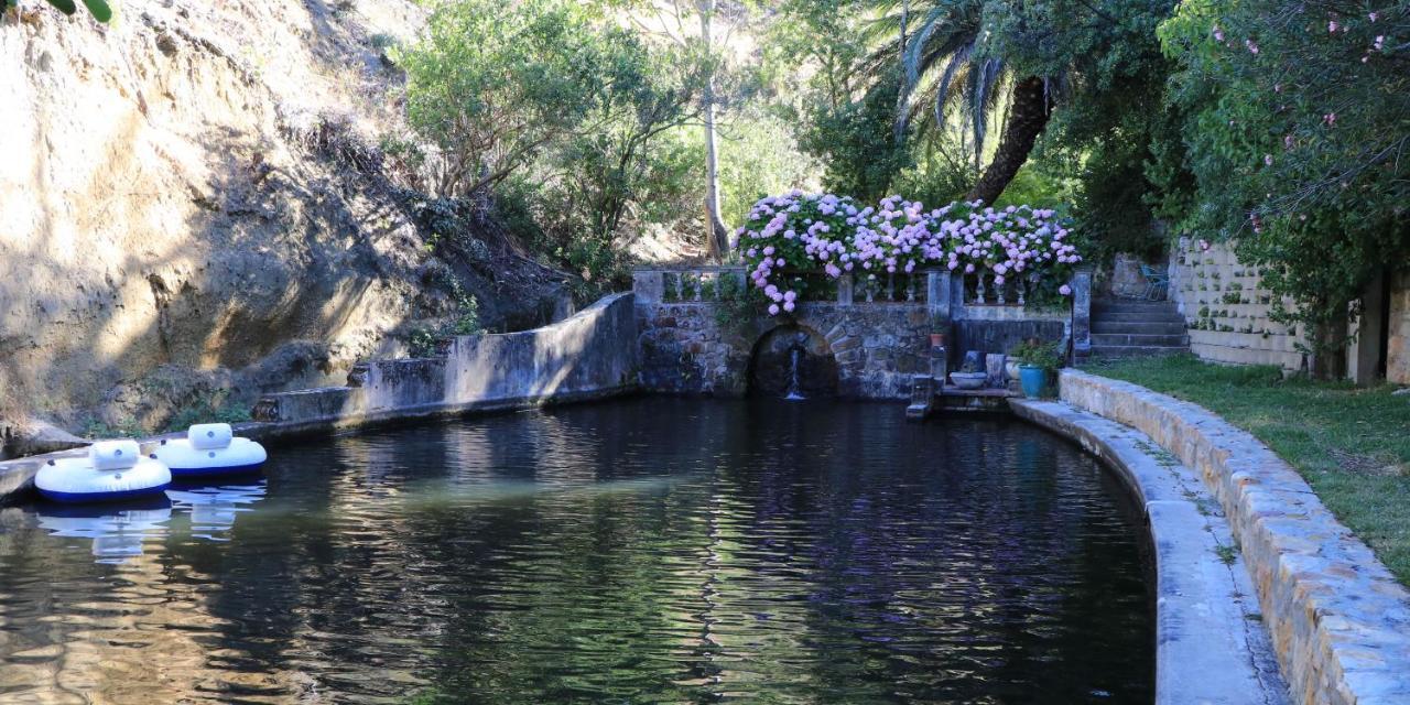 קייפטאון Camps Bay Forest Pods מראה חיצוני תמונה